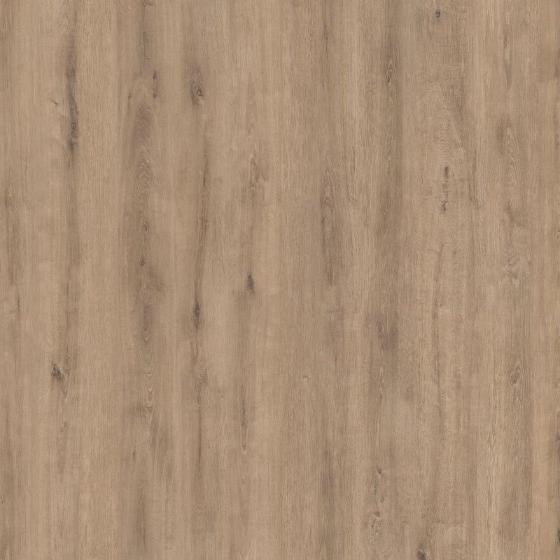 Ламинат Camsan Legend Дуб Сакарья