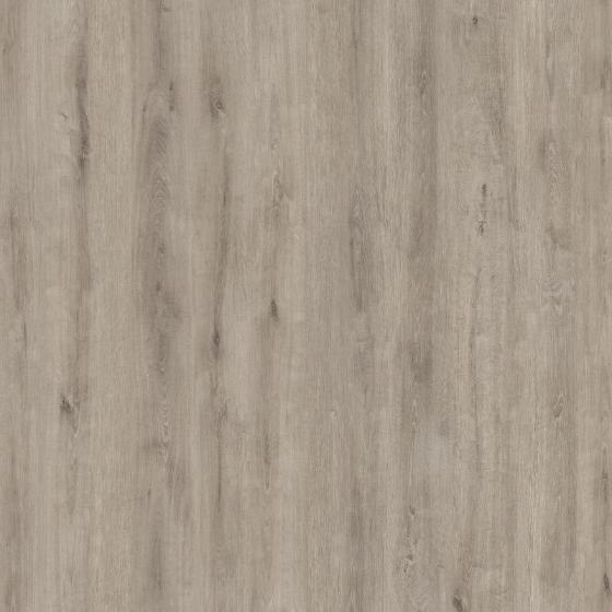 Ламинат Camsan Legend Дуб Акар Ламинат Camsan Legend Дуб Акар