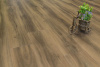 Кварцвиниловая плитка FineFloor Wood FF-1462 Дуб Готланд 