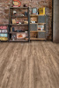 SPC ламинат Alpine Floor Grand Sequoia   Eco 11-11 Маслина 