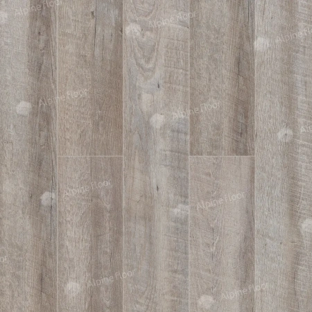 SPC ламинат Alpine Floor Real Wood Дуб Carry Есо 2-10