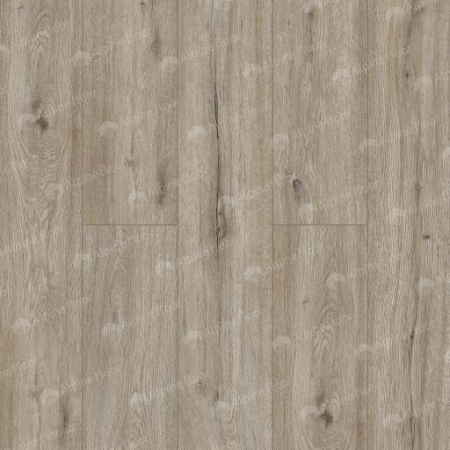 SPC ламинат Alpine Floor Solo Прэсто Есо 14-8