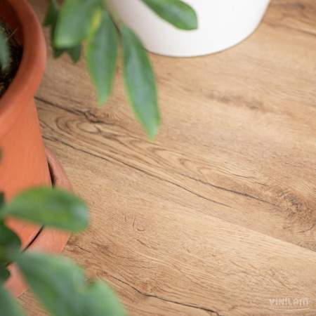 Кварцвиниловая плитка VINILAM Cork Premium Glue Дуб Витория 