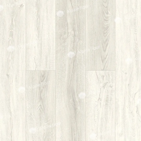 SPC ламинат Alpine Floor Intense Шервудский Лес Eco 9-10