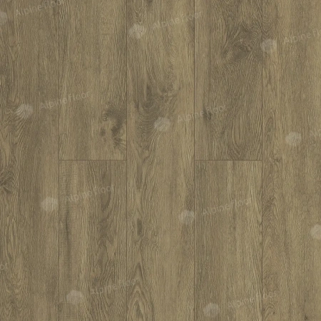 SPC ламинат Alpine Floor Grand Sequoia   Eco 11-11 Маслина