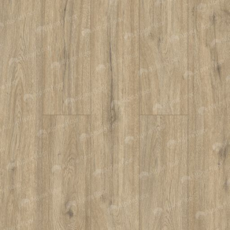 SPC ламинат Alpine Floor Solo Анданте Есо 14-10 