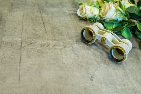 Кварцвиниловая плитка FineFloor Stone FF-1441 Джакарта 