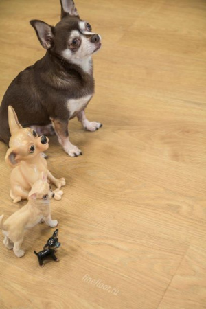 Кварц-виниловый ламинат FineFloor Rich FF-2077 Дуб Сицилия 