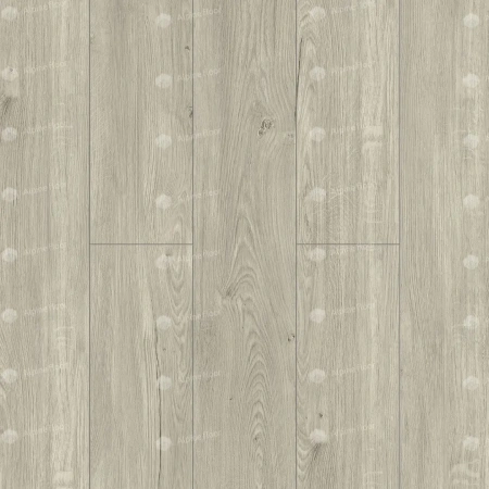 SPC ламинат Alpine Floor Sequoia Секвойя Снежная Есо 6-8