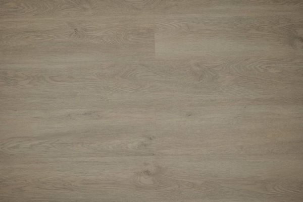 SPC ламинат Steinholz Prime Траун 