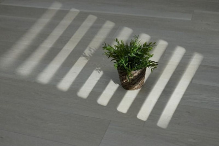 SPC ламинат STEINHOLZ Element Химмель 