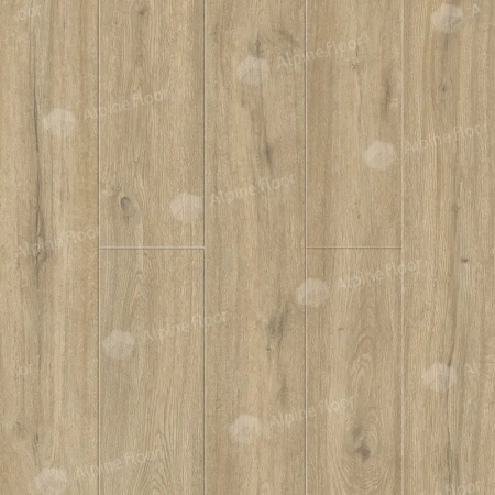SPC Ламинат Alpine Floor Solo Plus Анданте