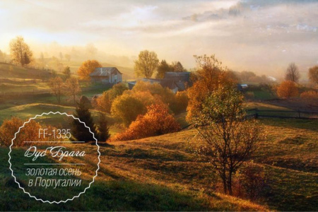 Кварц-виниловый ламинат  Finefloor Light Дуб Брага FF-1335 