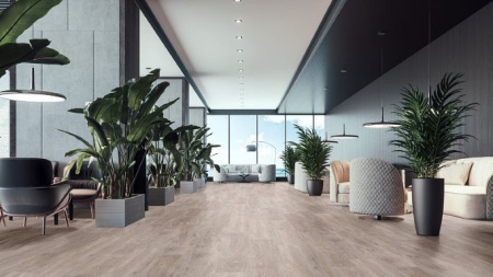 SPC ламинат Stronghold Eltz Дуб Ульм 