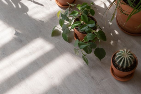 Кварцвиниловая плитка VINILAM Glue Дуб Ален 