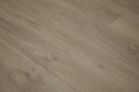 SPC ламинат Steinholz Prime Траун 