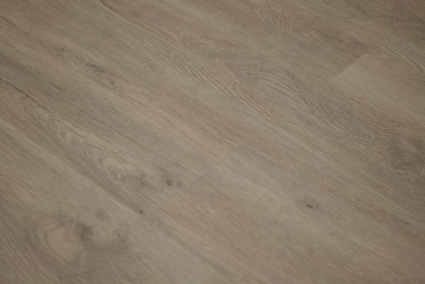 SPC ламинат Steinholz Prime Траун 