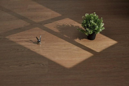 SPC ламинат STEINHOLZ Element Люфт 