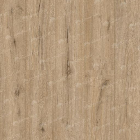 SPC ламинат Alpine Floor Solo Ларго Есо 14-6 