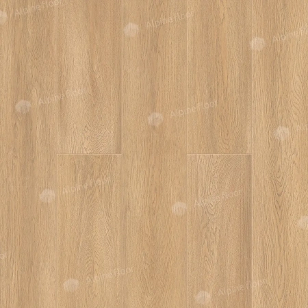 SPC ламинат Alpine Floor Intense Бурый Лес Eco 9-3