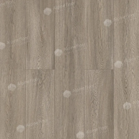 SPC ламинат Alpine Floor Intense Туманный Лес Eco 9-4