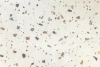 Плитка ПВХ Tarkett Art Vinyl Rockstars Terrazzo 