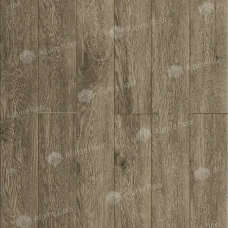 SPC Ламинат Alpine Floor Grand Sequoia Village Венге Грей 
