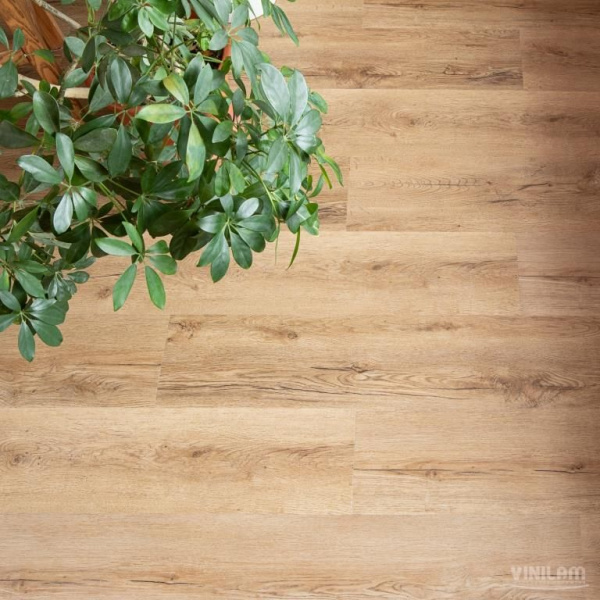 Виниловый ламинат VINILAM Cork Premium Дуб Витория Виниловый ламинат VINILAM Cork Premium Дуб Витория